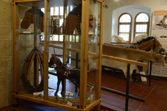 Interaktivní muzeum starokladrubského koně Švýcárna